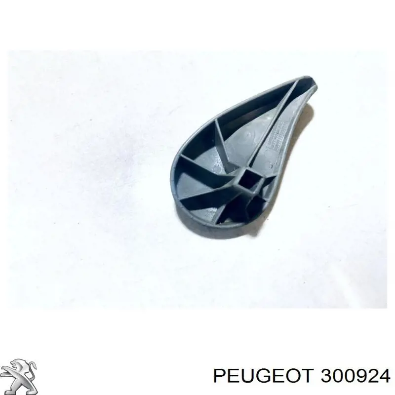 Retén del semieje delantero izquierdo 300924 Peugeot/Citroen