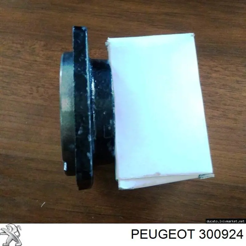 Retén del semieje delantero izquierdo Peugeot/Citroen 300924 precio, desde 43,95 EUR