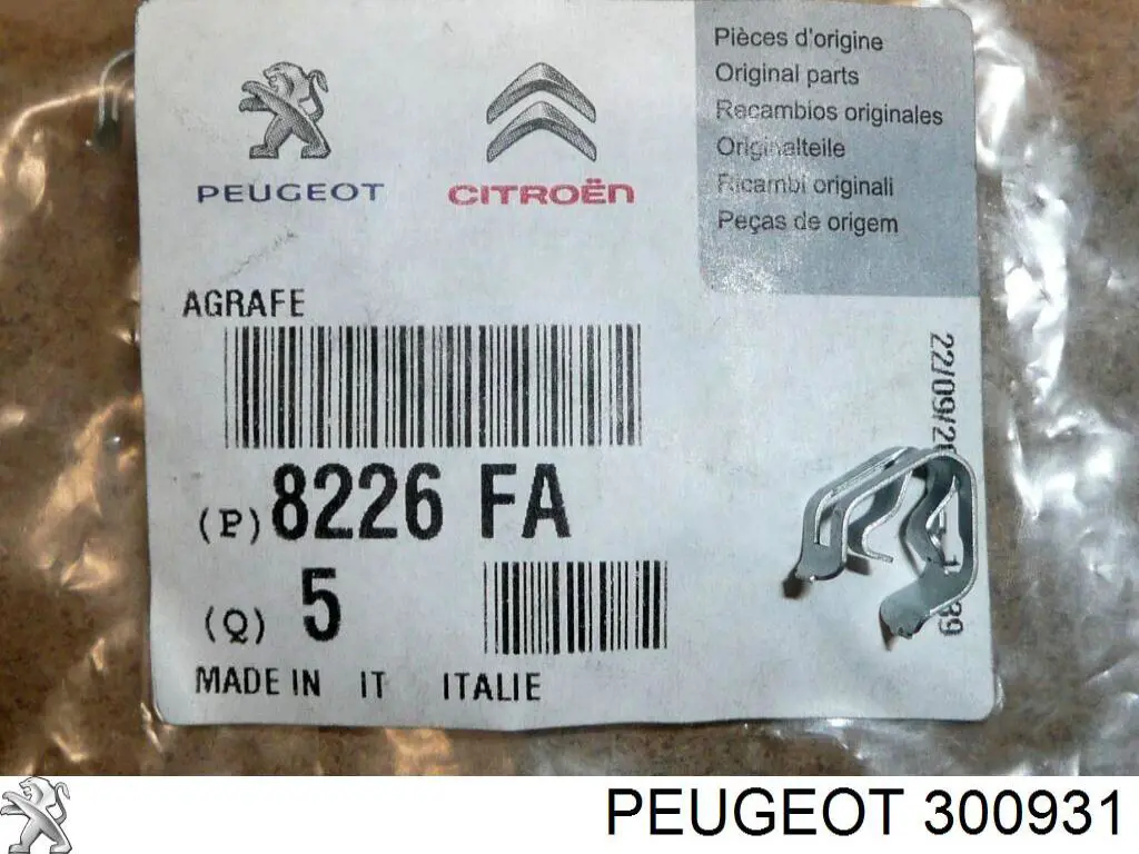 300931 Peugeot/Citroen