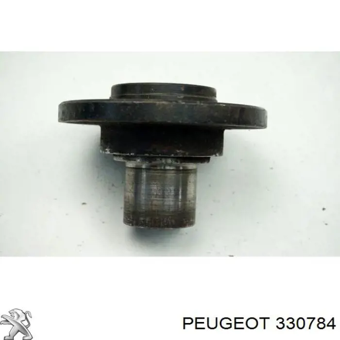 330784 Peugeot/Citroen Cubo delantero