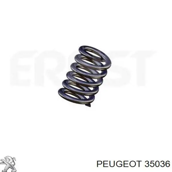 035036 Peugeot/Citroen 