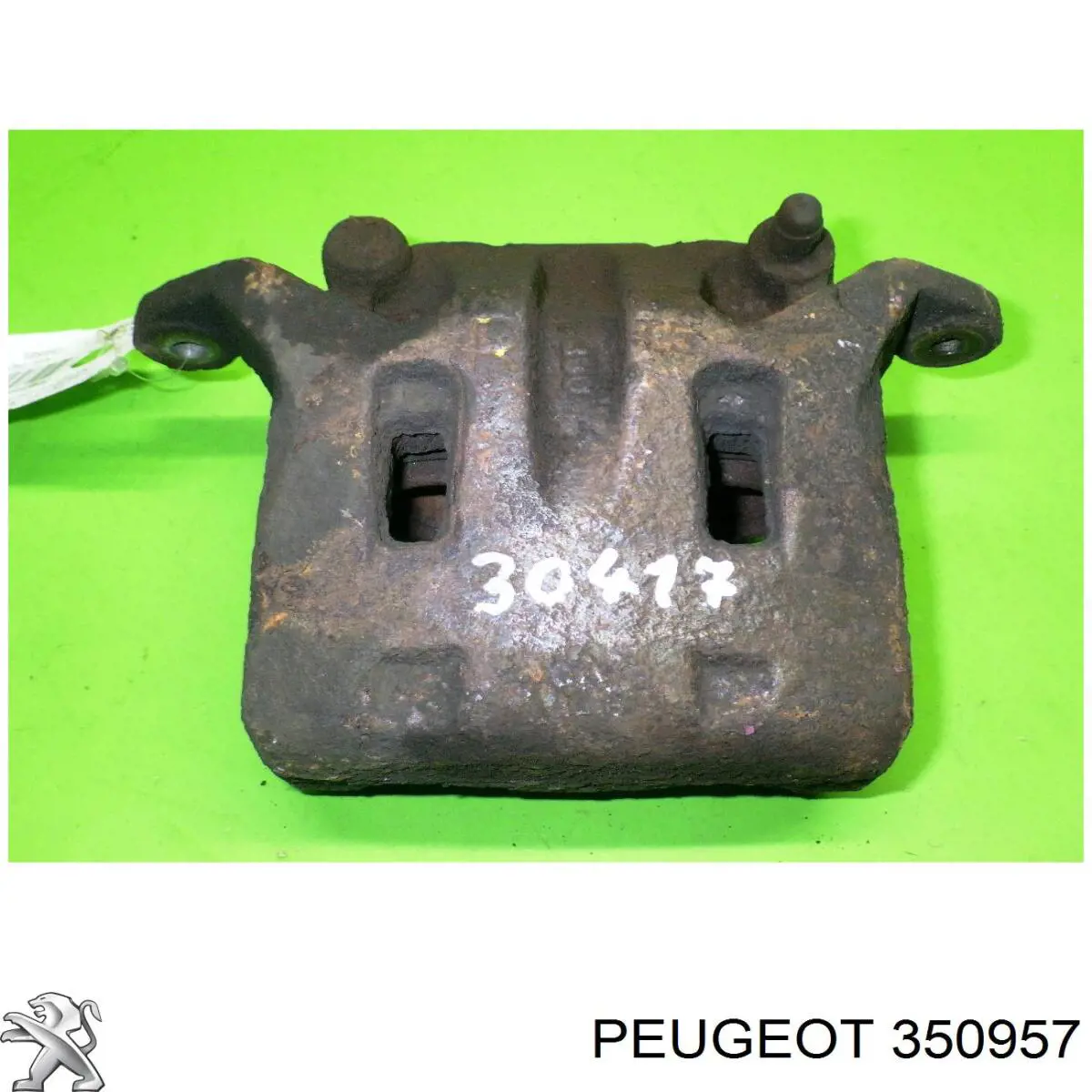 350957 Peugeot/Citroen tornillo (tuerca de sujeción)