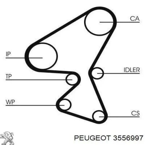 3556997 Peugeot/Citroen correa distribución