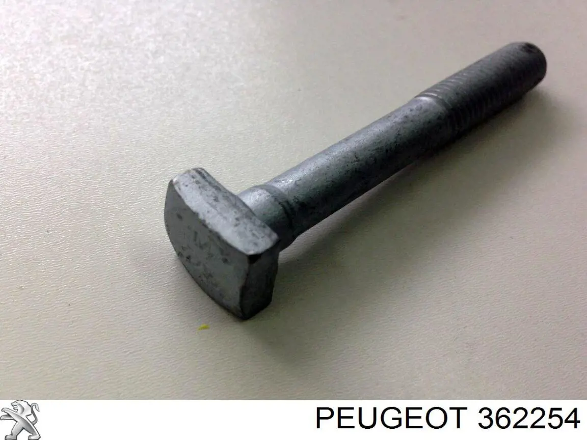 362254 Peugeot/Citroen tornillo (tuerca de sujeción)