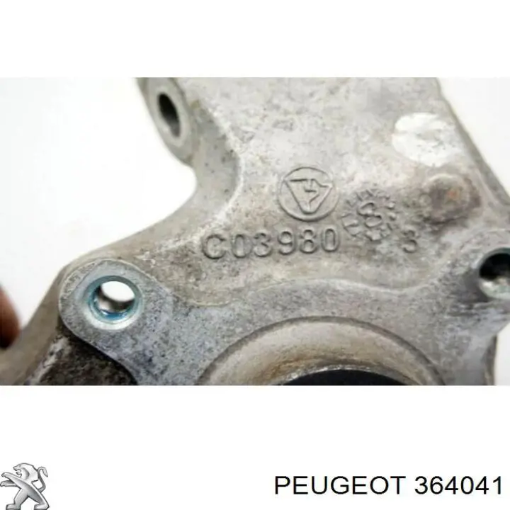 Buje exterior del brazo transversal trasero Peugeot/Citroen 364041