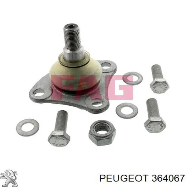 Comprar 364067 Peugeot/Citroen Rótula inferior de suspensión