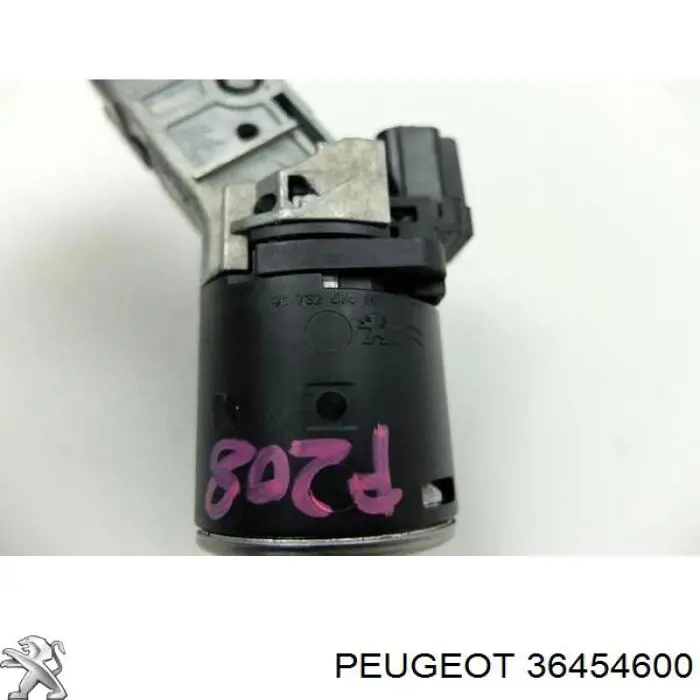  36454600 Peugeot/Citroen