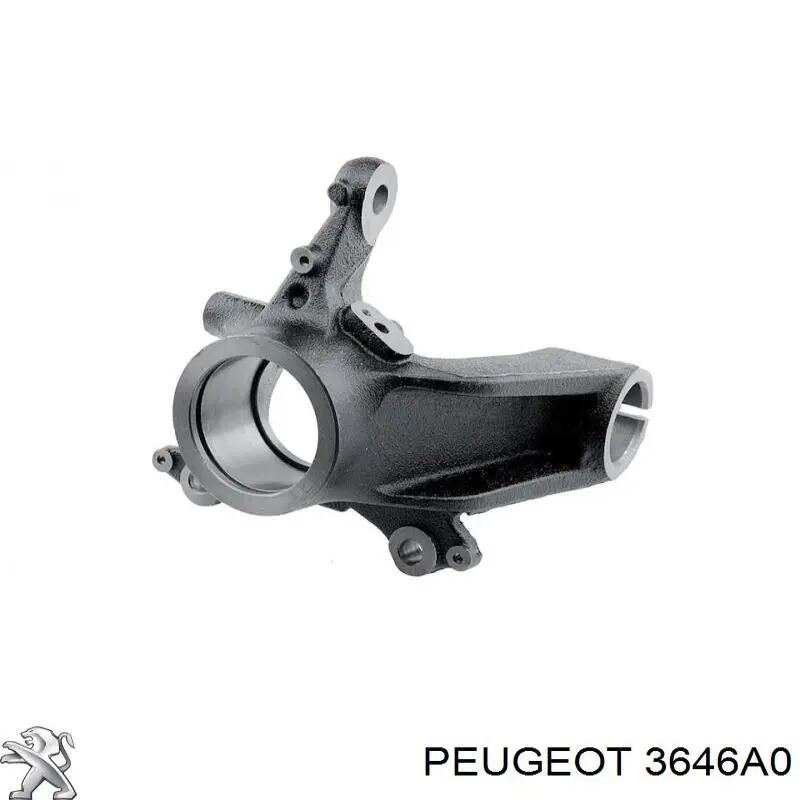 Mangueta delantera izquierda Peugeot/Citroen 3646A0 precio, desde 79,86 EUR