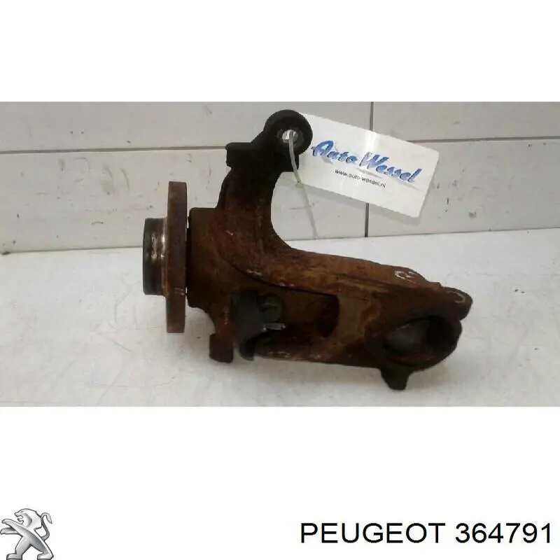 Mangueta delantera derecha Peugeot/Citroen 364791 precio, desde 54,00 EUR