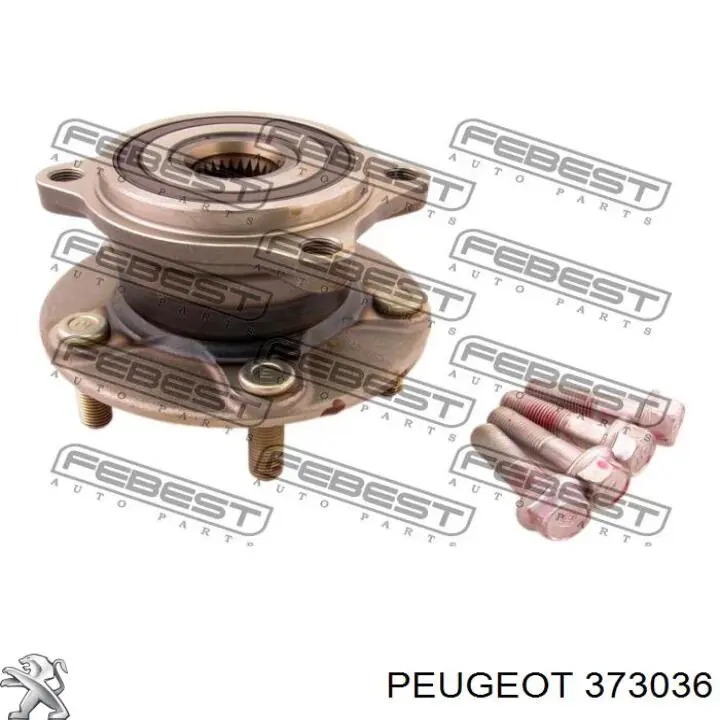 373036 Peugeot/Citroen cubo de rueda trasero
