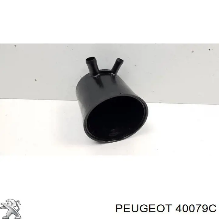 Bomba de dirección 40079C Peugeot/Citroen