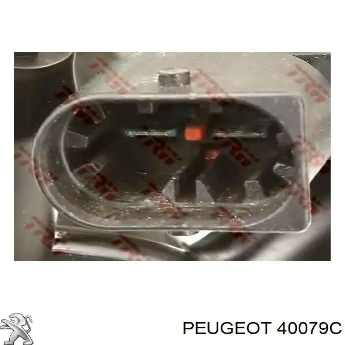 Comprar 40079C Peugeot/Citroen Bomba servodireccion