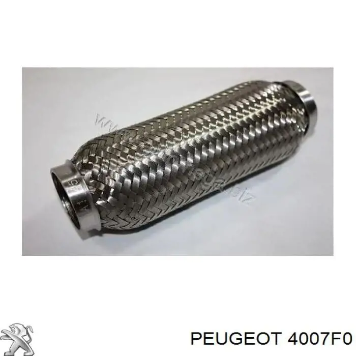 4007F0 Peugeot/Citroen bomba de dirección