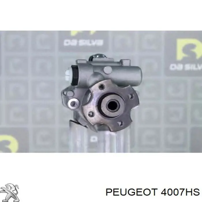 00004007HS Peugeot/Citroen bomba de dirección