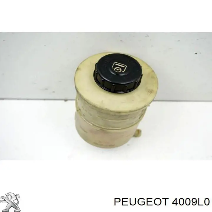 Depósito de la bomba de dirección asistida Peugeot 407 sedán (6D) (2004 - 2011) precio, desde 46,46 EUR