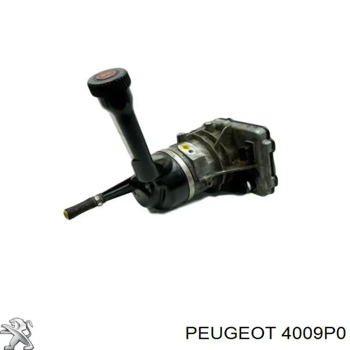 4009P0 Peugeot/Citroen Polea de bomba de la dirección asistida