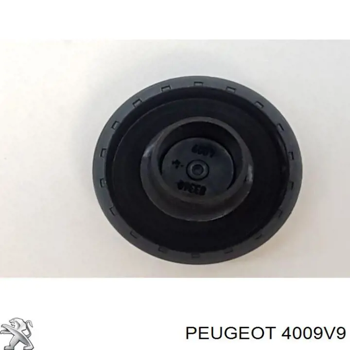 Comprar 4009V9 Peugeot/Citroen 