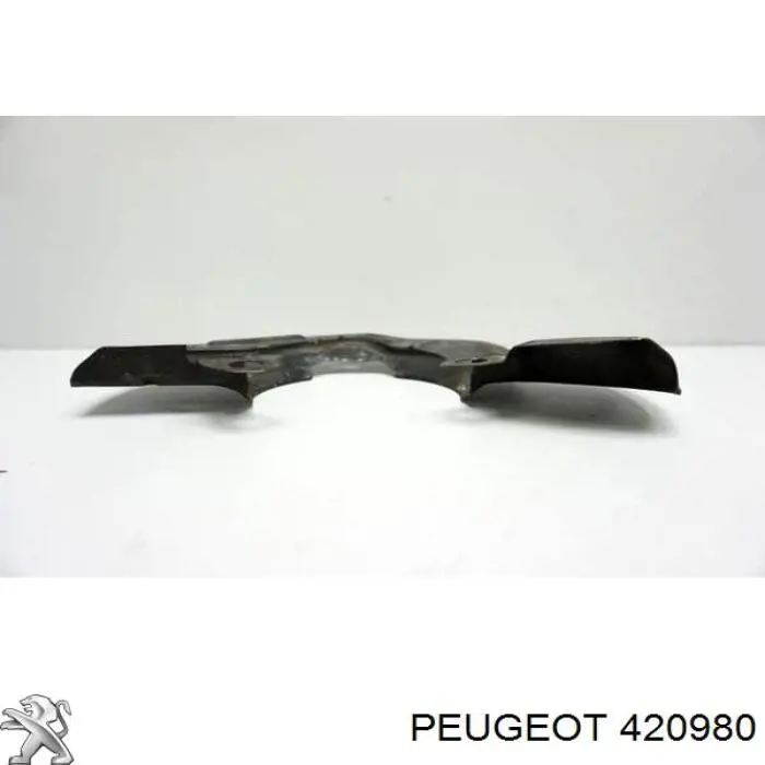 Protector de disco de freno trasero 420980 Peugeot/Citroen