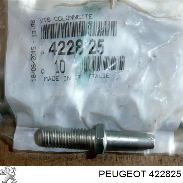 422825 Peugeot/Citroen perno de disco de freno