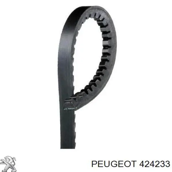 424233 Peugeot/Citroen zapatas de frenos de tambor traseras