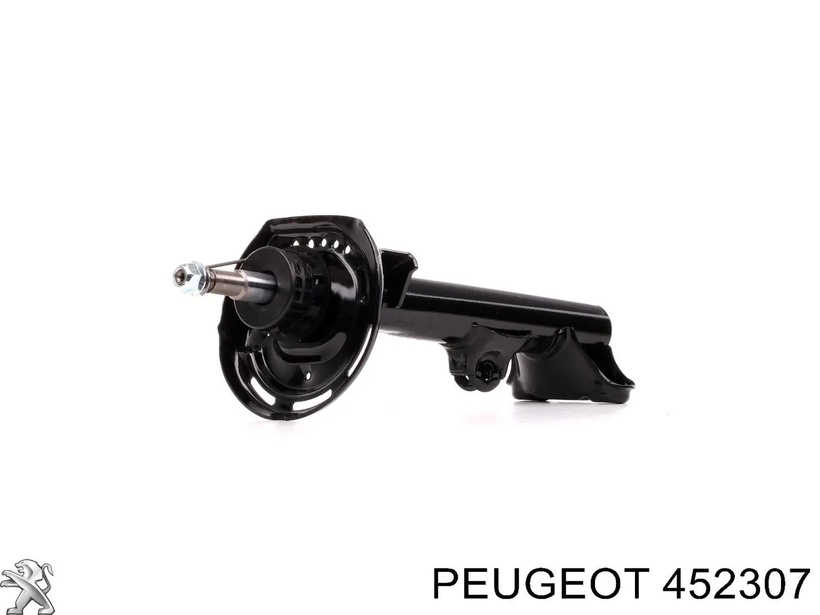 452307 Peugeot/Citroen 