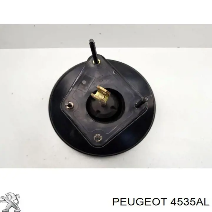 Servofrenos Citroen C5  III  familiar (RW) (2008 - 2017) precio, desde 120,80 USD