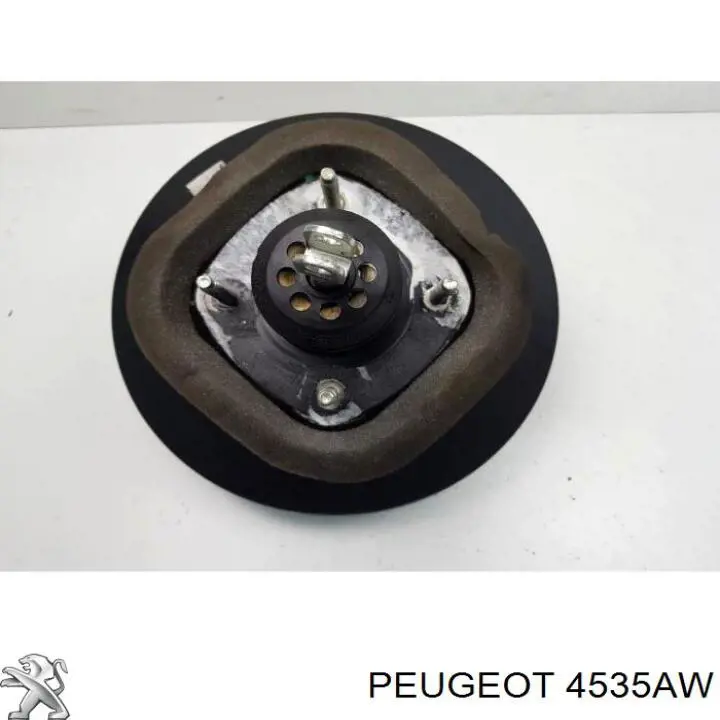 4535AW Peugeot/Citroen servofrenos
