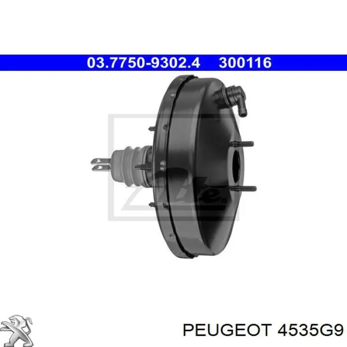 4535G9 Peugeot/Citroen servofrenos