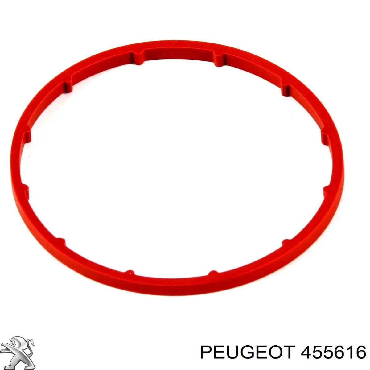 455616 Peugeot/Citroen junta, bomba de vacío
