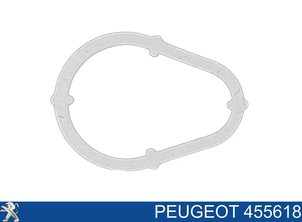 455618 Peugeot/Citroen Junta de la bomba de vacío