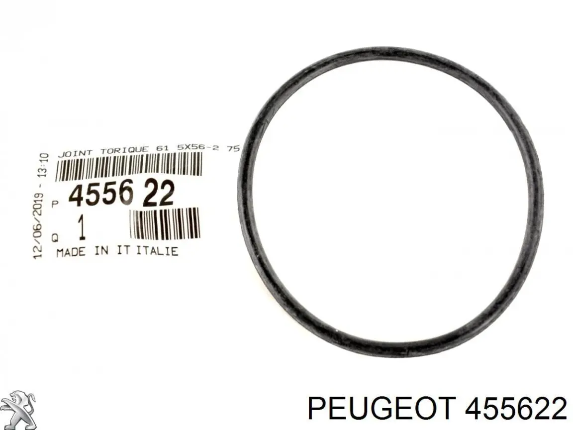 Junta de la bomba de vacío 455622 Peugeot/Citroen
