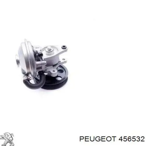 Comprar 456532 Peugeot/Citroen Bomba de vacío