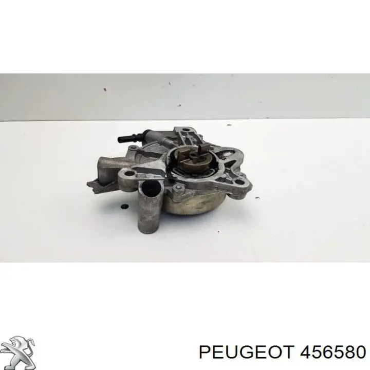 Bomba de vacío del sistema de frenado Peugeot/Citroen 456580 precio, desde 120,52 EUR