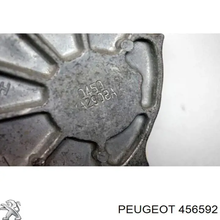 456592 Peugeot/Citroen bomba de vacío