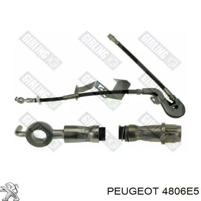 4806E5 Peugeot/Citroen tubo flexible de frenos delantero izquierdo