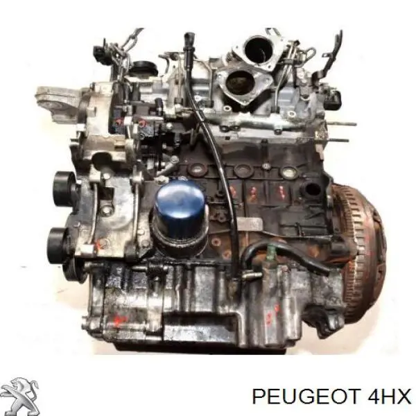 Comprar 4HX Peugeot/Citroen Motor completo