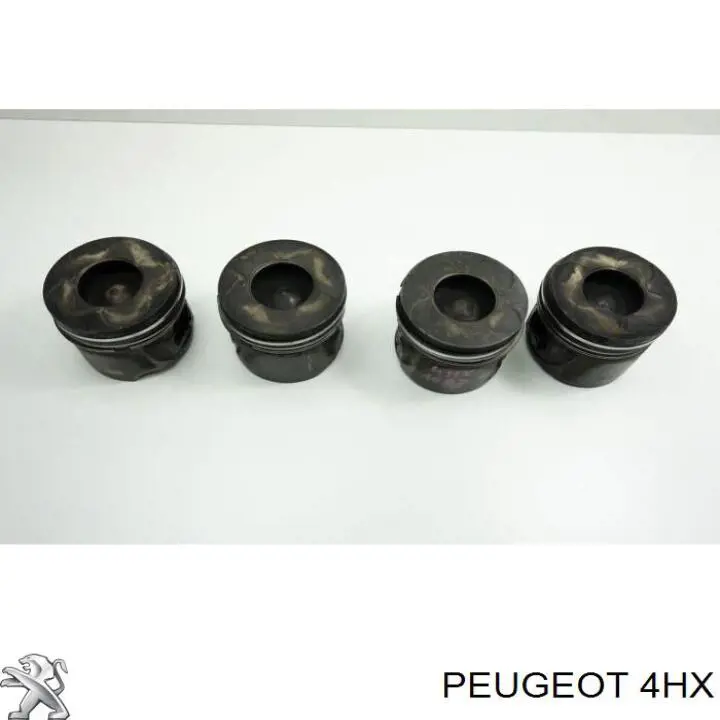Motor completo para Peugeot 406 (8C)