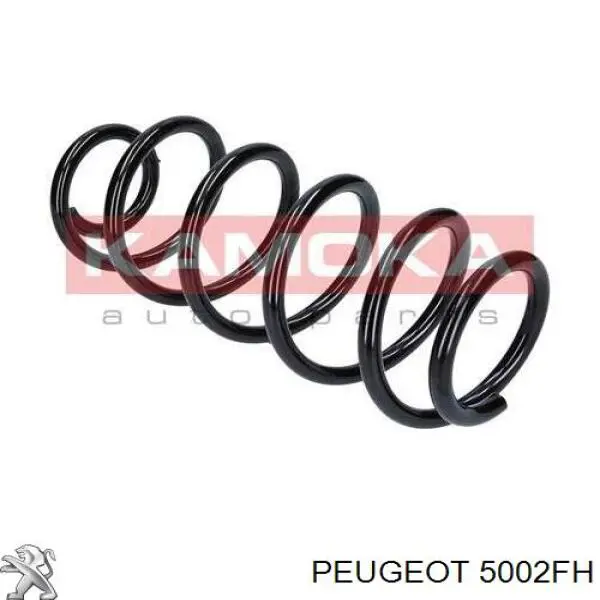 5002FH Peugeot/Citroen muelle de suspensión eje delantero