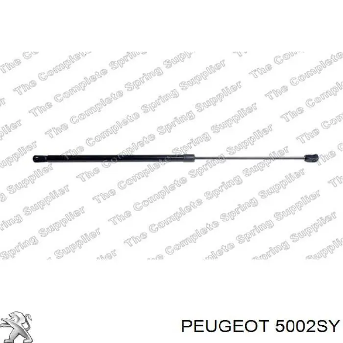 Muelle delantero Peugeot/Citroen 5002SY precio, desde 32,73 EUR