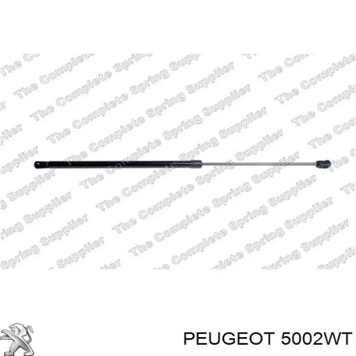 00005002WT Peugeot/Citroen muelle de suspensión eje delantero