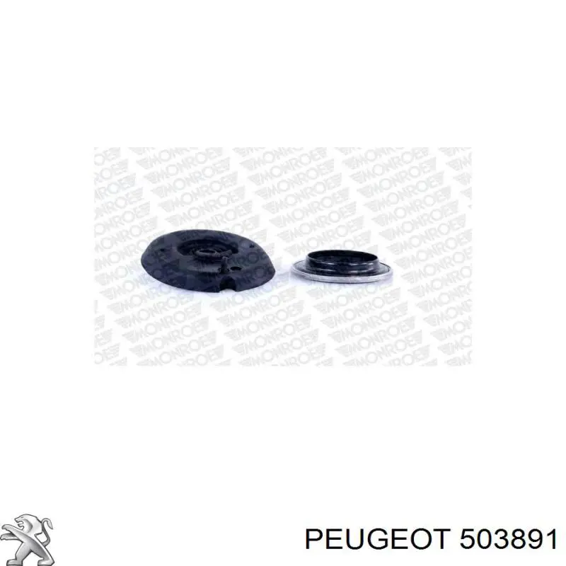  Peugeot/Citroen 503891