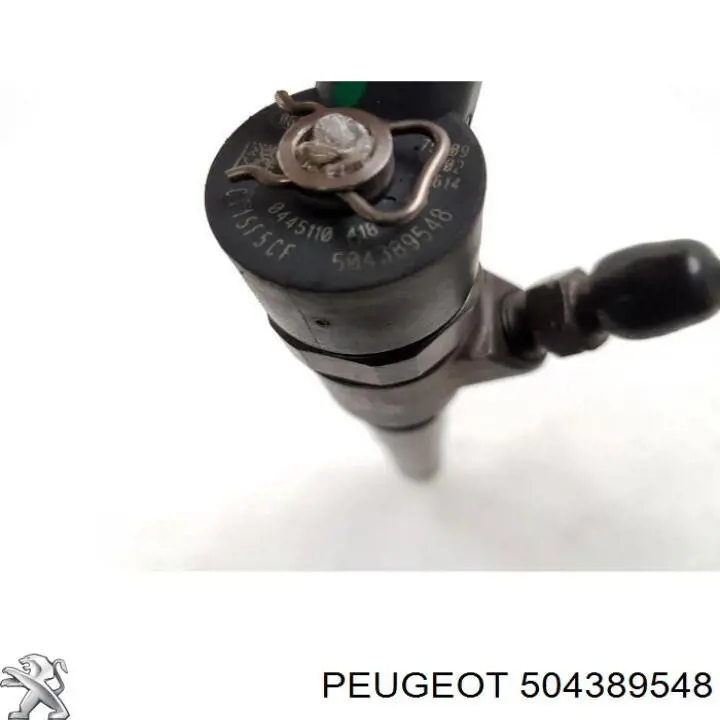 504389548 Peugeot/Citroen inyector de combustible