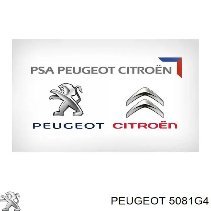 5081G4 Peugeot/Citroen Estabilizador delantero