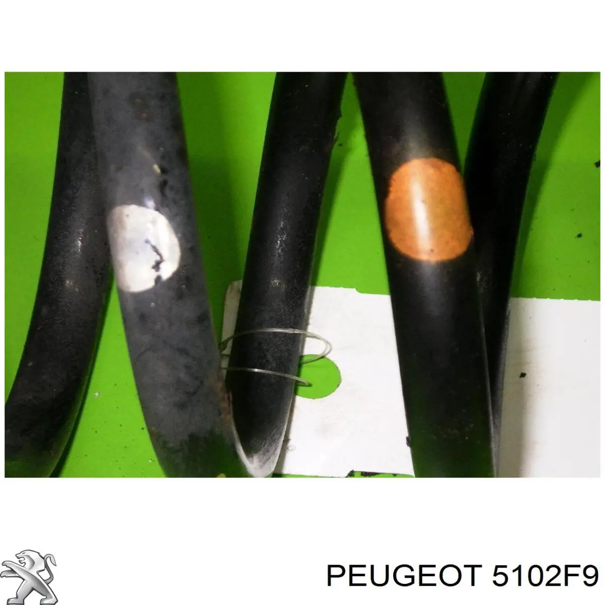 5102F9 Peugeot/Citroen Muelle trasero
