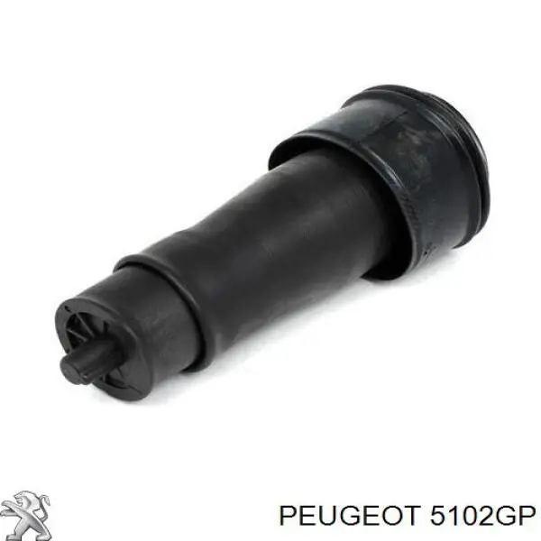 Bolsa de aire del eje trasero Peugeot/Citroen 5102GP precio, desde 130,66 EUR