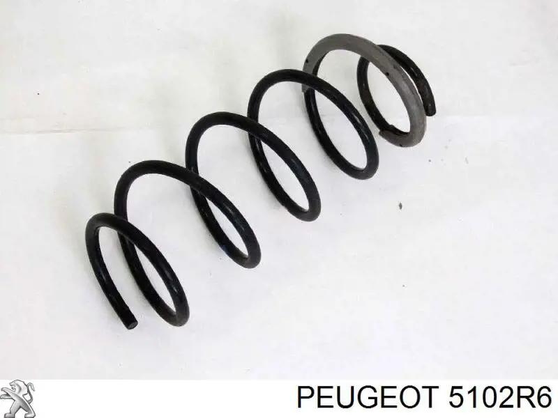 5102R6 Peugeot/Citroen muelle de suspensión eje trasero