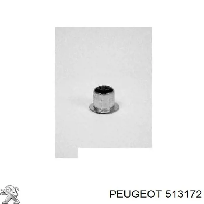 Buje trasero de ballesta trasera 513172 Peugeot/Citroen
