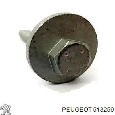 Comprar 513259 Peugeot/Citroen Perno interior del brazo de caída trasero
