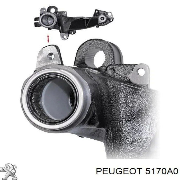 Comprar 5170A0 Peugeot/Citroen Estabilizador trasero