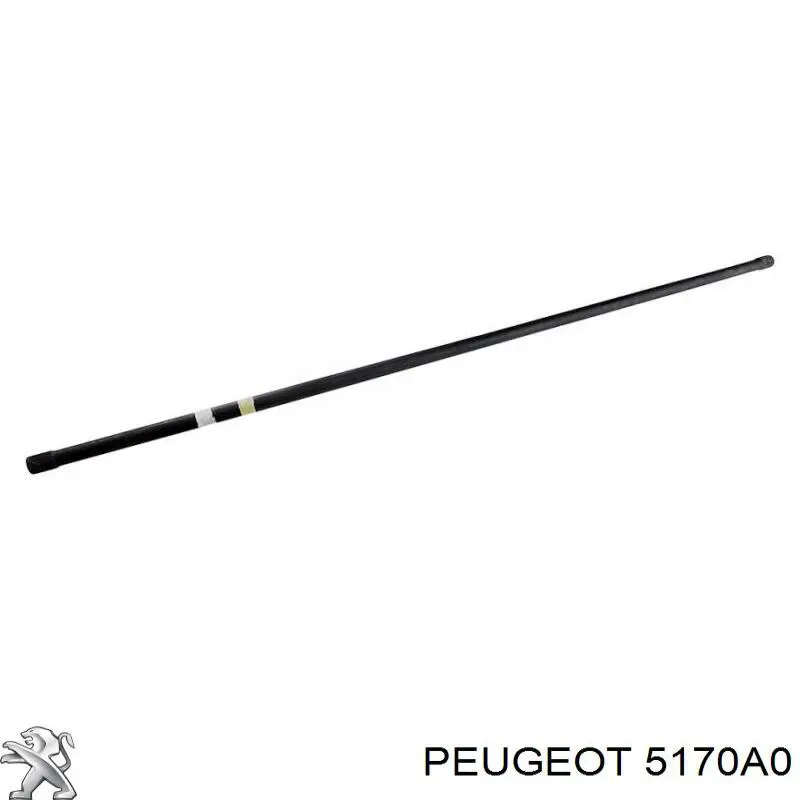 Barra estabilizadora de la suspensión trasero Peugeot/Citroen 5170A0 precio, desde  EUR